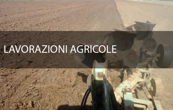 lavorazioni agricole terreni ustione conto terzi