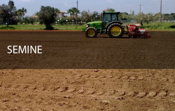 semine lavorazioni agricole ustione conto terzi